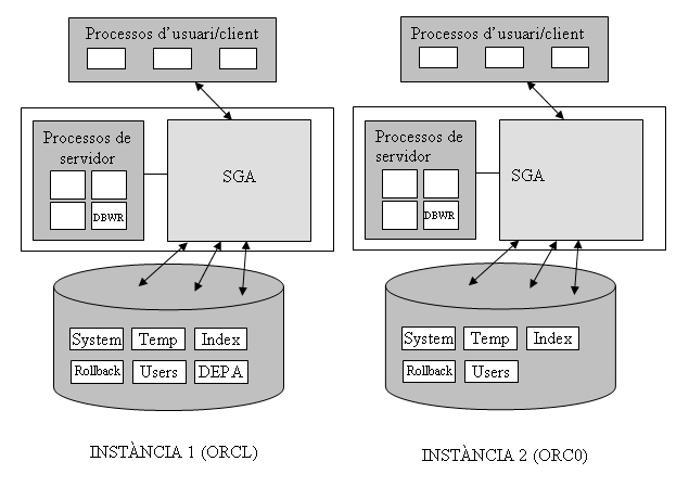 Oracle Instances